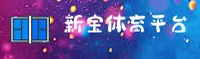 使用指南与常见问题